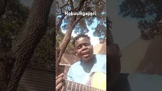 Nyasha David Nokusingaperi cover by Prince Avalon trending love euro viral mrbeast paghetto [upl. by Herwig215]