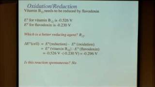 36 Biochemistry [upl. by Adlar]