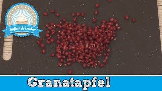 Granatapfel entkernen  schnell und einfach 🍎 [upl. by Kcirdot887]