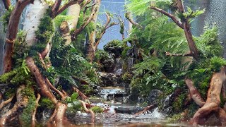 Put a real forest on your desk Creating a healing terrarium with small waterfalls and streams [upl. by Dieter]