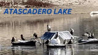 Walking Tour  Atascadero Lake [upl. by Niveb]