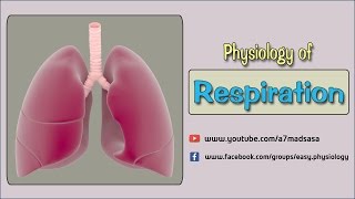 Easy Physiology  Respiration  2Oxygen Dissociation Curve [upl. by Yrelav]