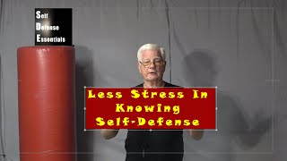 Self Defense Reduces Lifes Stress [upl. by Ahsieker]