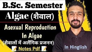 Asexual Reproduction In Algae  Reproduction In Algae  Bsc Semester  By Dadhich Sir [upl. by Ivonne]