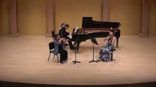 Trio Brahms Op40 pour piano violon et alto cor [upl. by Ennaeed302]