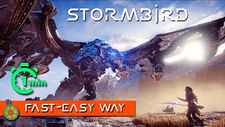 Fastest Way to Kill Stormbird Easily No Tripcaster Blast  Horizon Zero Dawn [upl. by Newmann]