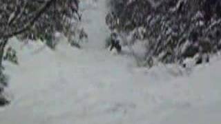 Telemark ski Adirondack slide [upl. by Nosiram362]