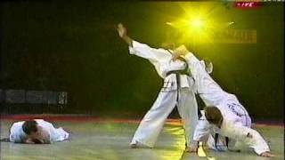 Nanbudo Budo gala Paris Bercy 1999 [upl. by Filmer102]