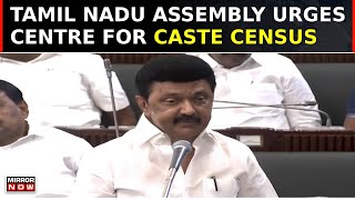 Resolution Urging Central Govt To Conduct Caste Census Passed In Tamil Nadu Assembly  Top News [upl. by Ardnosak]