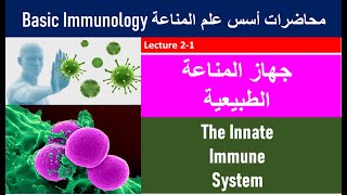 Lecture 21The Immune System [upl. by Jeggar788]