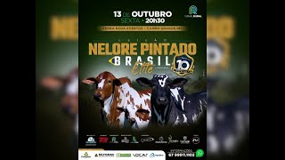 Leilão Nelore Pintado Brasil amp Convidados  Etapa Elite [upl. by Kcirderfla]