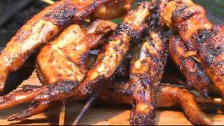 How to Grill Asian Style Chicken Wings  Recipe [upl. by Gregory990]