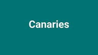 Canaries Meaning and Pronunciation [upl. by Nodearb289]