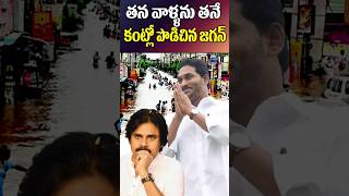 జగన్ మాటతో ఇరుకున పడ్డ పవన్ యాంటీస్  YS Jagan  Pawan Kalyan  Vijayawada  Tollywood Nagaram [upl. by Kramnhoj]