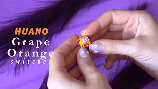 HUANO Grape Orange Switches  Sound Test Lots Of Comparisons [upl. by Noreht533]