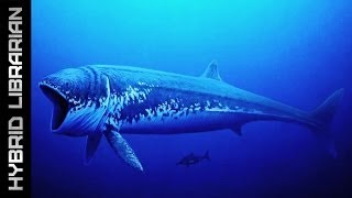 Worlds 10 Biggest Animals of All Time [upl. by Kcirdek778]