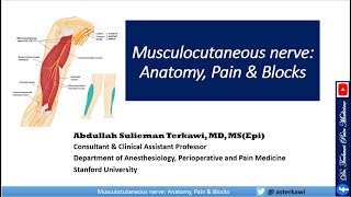 Musculocutaneous nerve Anatomy Pain And Blocks [upl. by Kaiulani]