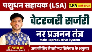 LSA Veterinary Surgery Classes 2024  Pashudhan Sahayak New Vacancy 2025 Notification [upl. by Hermon650]