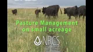 Small Pasture Management cc [upl. by Ponton]