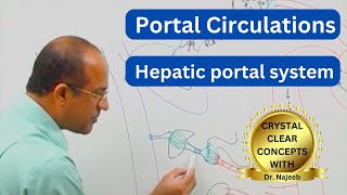 Portal Circulation  Digestive Tract Liver and Kidneys 👨‍⚕️ [upl. by Raual]