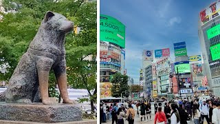 Exploring Shibuya  Scramble Crossing amp Hachiko amp Gonpachi [upl. by Au]