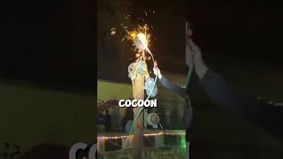 Spinning Firework Magic DIY Cocoon Fireworks Light Up At Night ✨🔥 [upl. by Johnette]