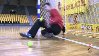 handball goalkeeper [upl. by Bo]