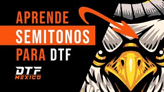 ✅ Cómo hacer SEMITONOS para IMPRESIÓN DTF en PHOTOSHOP ✅  dtfmexicomx [upl. by Libbna]