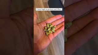 Dry roasted edamame is my new favorite snack shorts plantbaseddiet [upl. by Chrotoem]