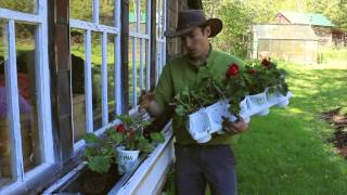 Planting a Gorgeous Window Box  Jack Barnwell Mackinac Island [upl. by Terina216]