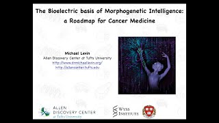 The Bioelectric Basis of Morphogenetic Intelligence a Roadmap for Cancer Medicine by Michael Levin [upl. by Zullo]