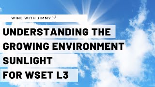 WSET Level 3 Wines  Understanding the Growing Environment Sunlight [upl. by Magda654]