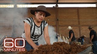 Mezcal producers preserve traditional methods as demand for liquor grows  60 Minutes [upl. by Refennej473]