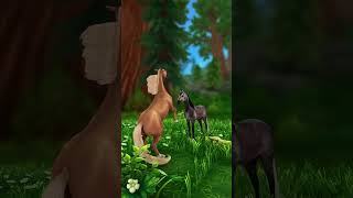 ❤😳 тг Pretty Channel horse starstable [upl. by Htyderem]