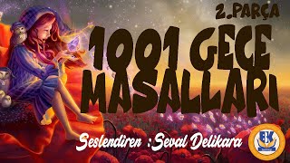 Binbir Gece Masalları  Cilt 1 Sesli Kitap 2Parça Seval Delikara [upl. by Anilegnave721]