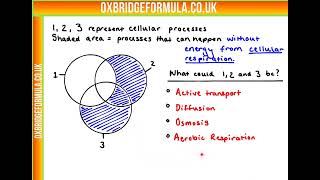 BMAT 2019 Section 2  Q05 Bio  Cellular Venn Diagrammov  Worked Solution [upl. by Margit]