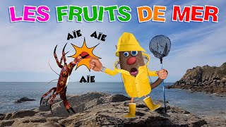 Foufou  Les Fruits de Mer pour les EnfantsLets Learn Seafood for Kids S01 4 k [upl. by Biagio]