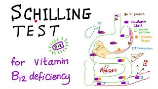 Schillings test for Vitamin B12 deficiency [upl. by Yggep755]