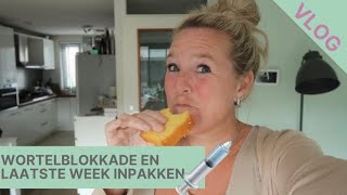 Injecties voor mijn rughernia en laatste dagen inpakken voor onze vakantie VLOG150 Ingrid Speijer [upl. by Svoboda]