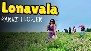 Karvi Flowers Festival Vlog  Lonavala  Detailed Location [upl. by Peltz681]