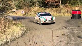 Cambrian Rally 2024 SS2 Clocaenog [upl. by Ashling]