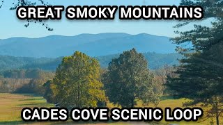 Beautiful Cades Cove LoopGreat Smoky Mountains National Park2024 [upl. by Bruis]