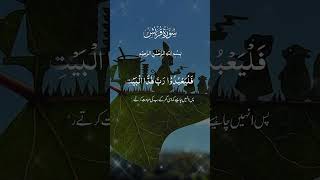 সূরা কুরাইশ quran quranreading allah islamicprayer [upl. by Atteloj409]