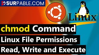 Linux File Permissions  chmod Command in Linux [upl. by Ezeerb]