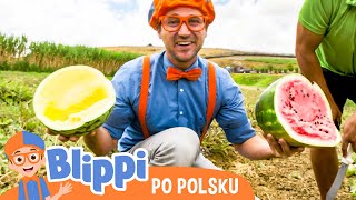 Blippi jedzie na farmę  Blippi po polsku 🔶 Nauka i zabawa dla dzieci [upl. by Iam715]