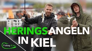 Heringsangeln  so geht´s FishingKingde [upl. by Suirtemid]