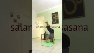 Salamba sirsasana or tripod headstand  YOGA SHAKTI [upl. by Mccreary679]