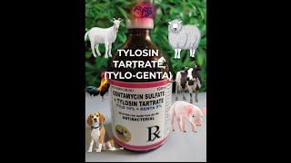 GENTAMICIN SULFATE  TYLOSIN TARTRATE TYLOGENTA [upl. by Mientao806]