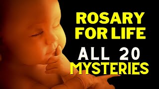 Rosary for Life  ProLife Rosary  All 20 Mysteries of Holy Rosary [upl. by Bez256]