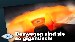 Rätsel gelöst Deswegen sind die ersten Schwarze Löcher so gigantisch [upl. by Lennor195]